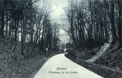 13265 Gezicht op de Grebbeweg met omringend bos te Grebbe (gemeente Rhenen) uit het westen.